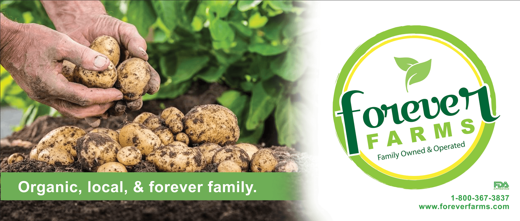 BoxTruck_Screen Shot